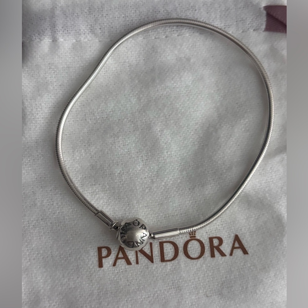 Pandora Silver Snake Chain Bracelet